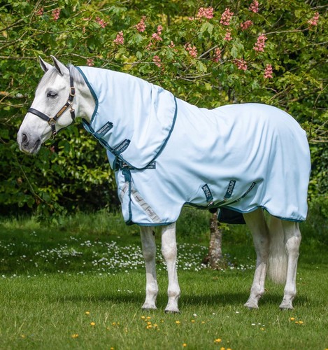 Amigo Plant-Dye Turnout 50g Lite - Blue/Navy - Bild 1 von 3