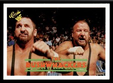 1990 Classic WWF - Bushwhackers Luke and Butch #132