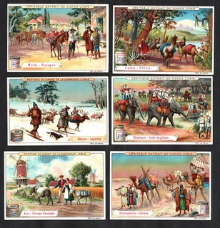 Beasts Of Burden Liebig Cards Set 1899 Donkey Ass Camel Elephant Lama Reindeer