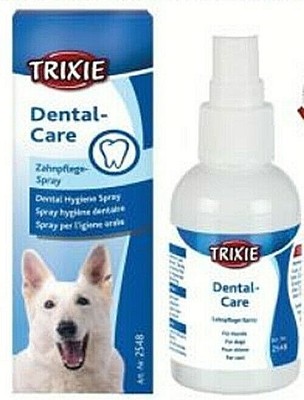 dental care trixie