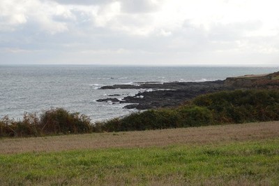 Photo 6x4 Rocks, Sharpers Head East Prawle  c2016