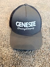 Genesee Brewing Company Genesee Beer Gray Tru...