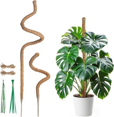 Mcbazel Monstera Rankhilfe Moosstab für Pflanzen, 60cm & 120cm Kokosnussstab