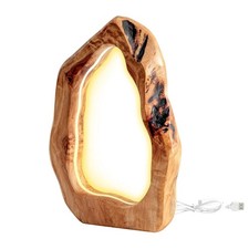 LED Wood Table Lamp, Irregular Bedside Lamp with Dimmable, Creative Home Deco...