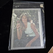 Farrah Fawcett 1976 Pro Arts Authentic Hot Ons Flower Rose Iron On NOS 12×8