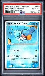 Psa 10 Mudkip | eBay