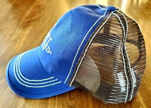 Gorra de béisbol ajustable azul y marrón ANGRY HARD HARD CIDER - Imagen 4 de 12