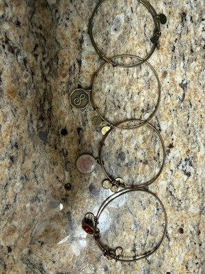 ALEX AND ANI Charm Bangle Bracelet Bronze Red Metal Hook Adjustable Signed