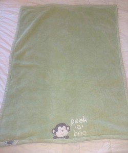green monkey blanket