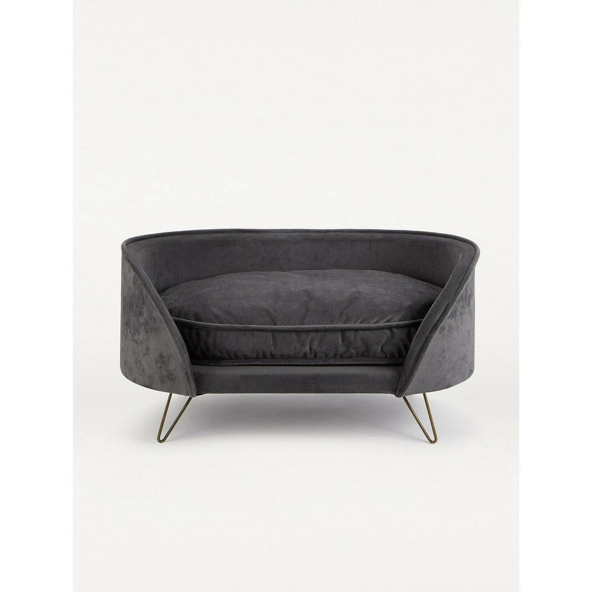 Velvet on sale sofa dogs