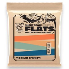 Ernie Ball Group 1 St. Steel Flatwound Short Scale Electric Bass Strings, 50-110