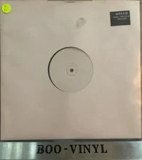 Asylum - Bass - The Final Frontier 12" Vinyl 1992 House White Label Rare Ex Con