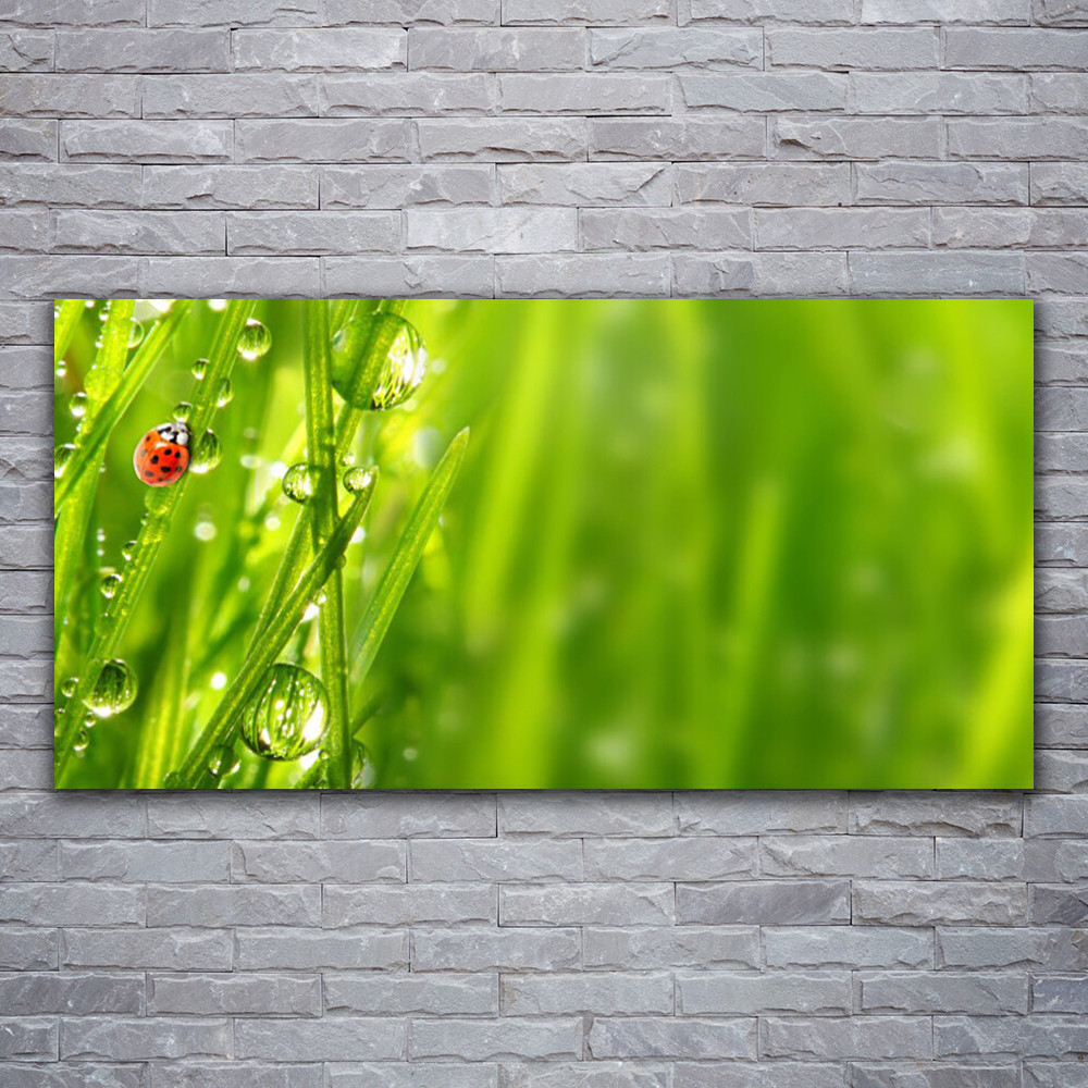 Tableau nature sur toile 120x60 cm herbe et coccinelle pour salon
