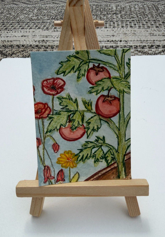 Original ACEO Watercolor Series Vegetable Garden Poppy PaletteandPage Tomatoes
