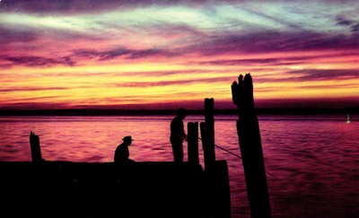 Postcard View from Dent's Cafe, Springfield, Missouri