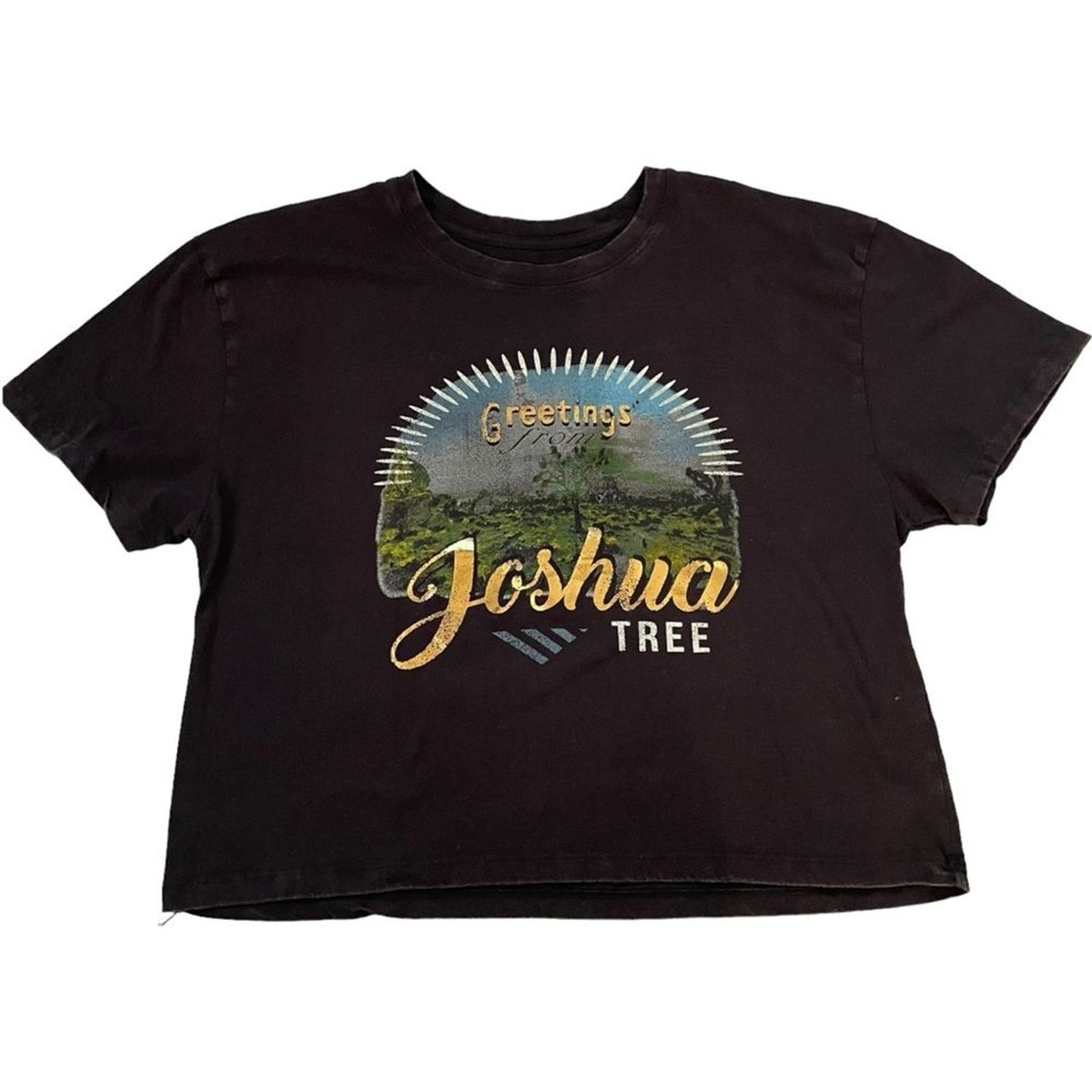 The Joshua Tree Tour Tシャツ Amazon.com: U2 T Shirt Joshua Tree Logo 2017 European Tour