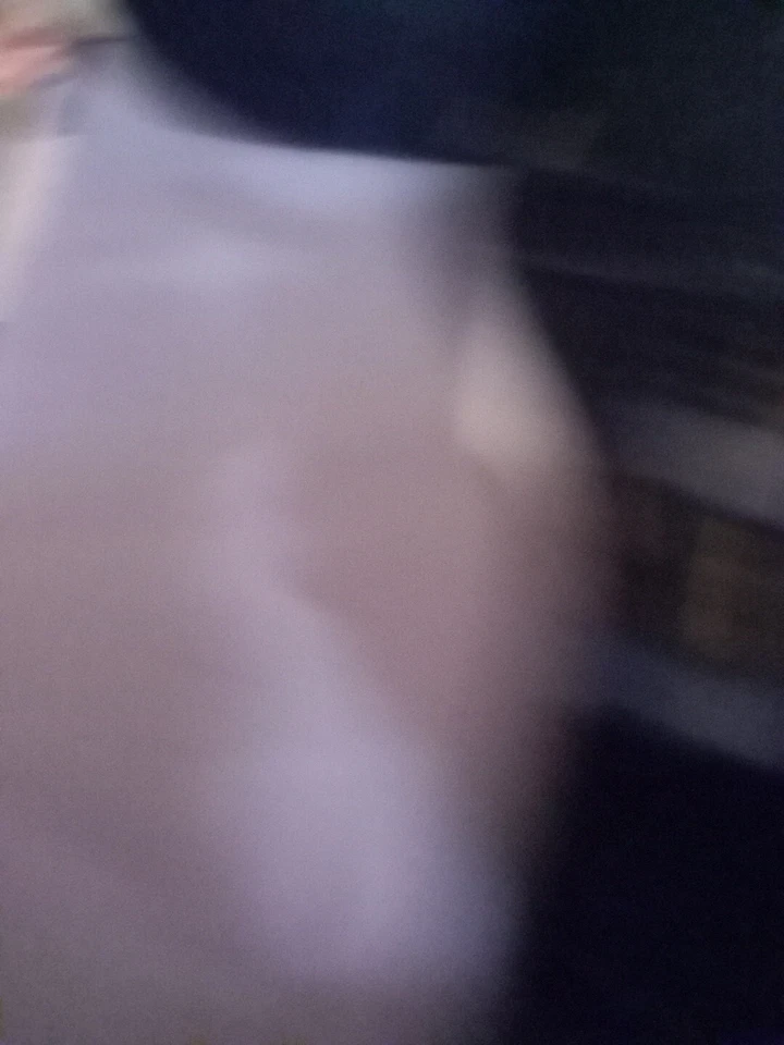 AWP Holster Tool Belt - Image 4 of 4