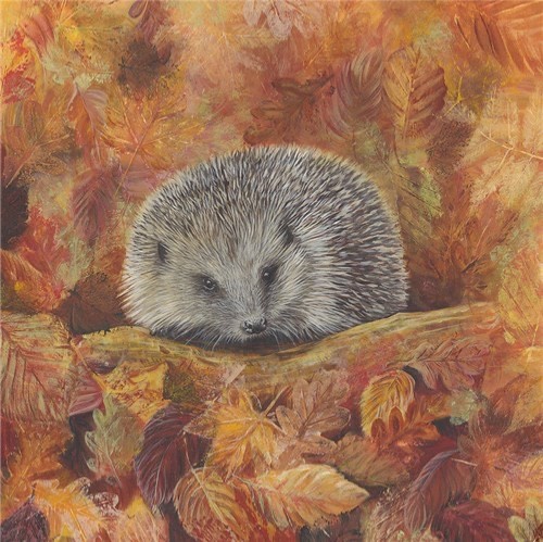 Garden Friend Hedgehog -  Art Blank Greeting / Birthday Card  - Hedgehogs Nature