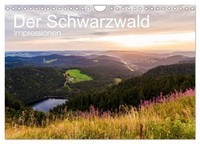 Calendar 2027 · US Version · The Black Forest Impressions (Wall Calendar 2027 12