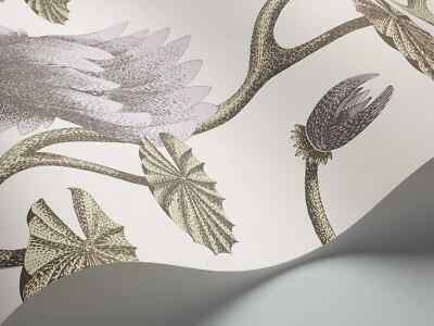 Cole & Son Sommerlilie Tapete 95/4023 Farbe zart lila auf weiß