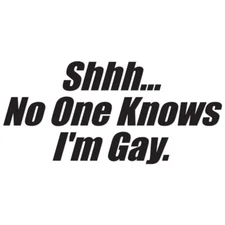 No One Knows I'm Gay - Vinyl Decal Sticker - Multiple Colors & Sizes - ebn3916