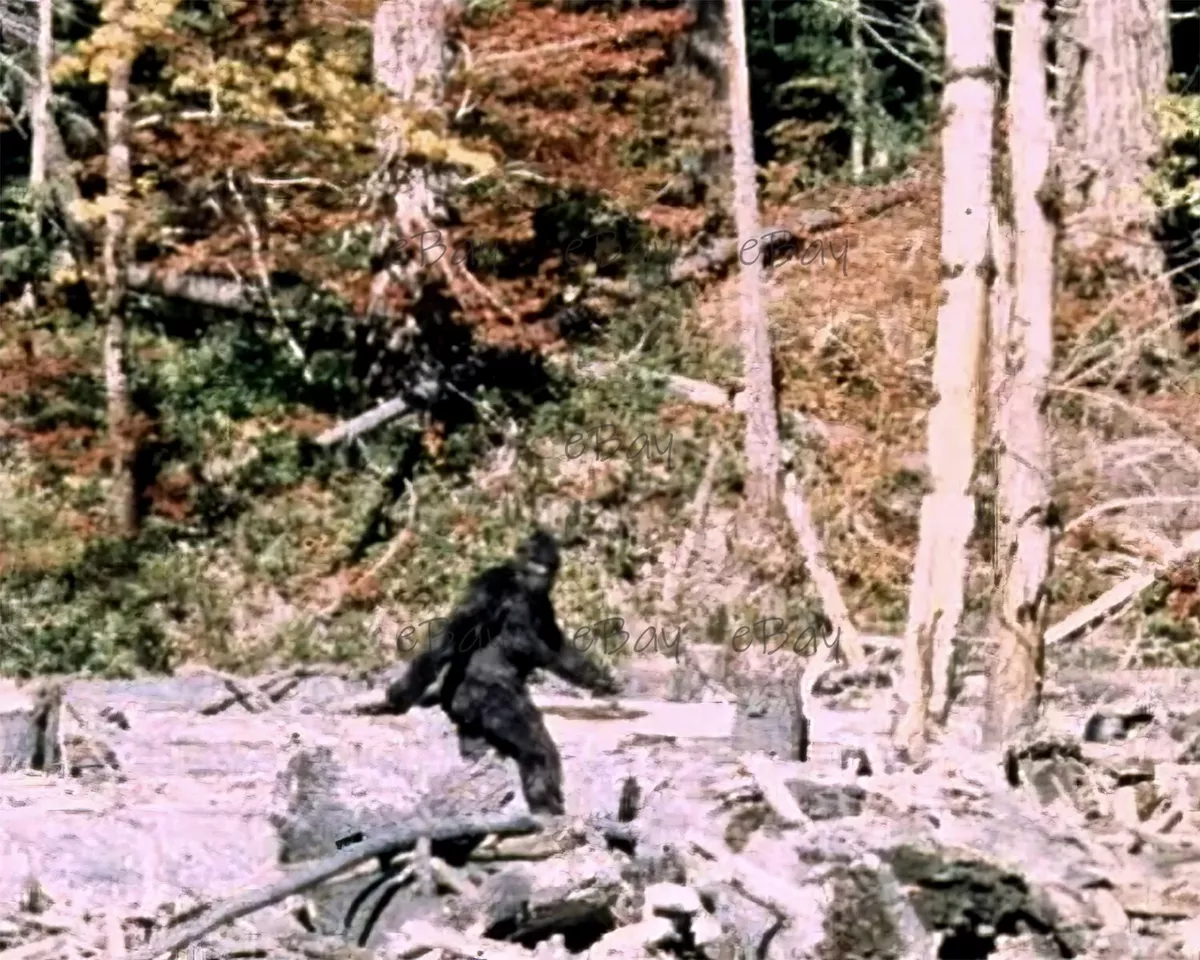 Bigfoot, Sasquatch, and Yeti - TV Tropes