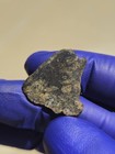 NWA 13636 Eucrite Unbrecciated Meteorite 1.476g Full Slice Rare w/ COA  — photo 8