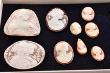 9 items , vintage shell cameo White and brown color (Total 323.0ct) with case.