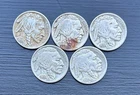 Lot Of 5 1936 S Buffalo Nickel San Francisco Mint Full Date Horn And Tail Visibl