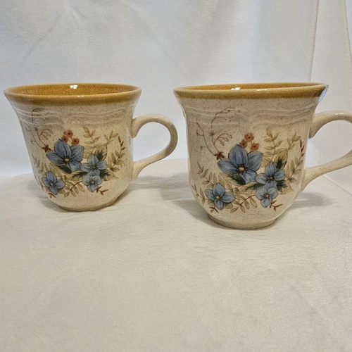 Coffee Cups Set Of 2 Vintage Mikasa Day Dreams EC 461