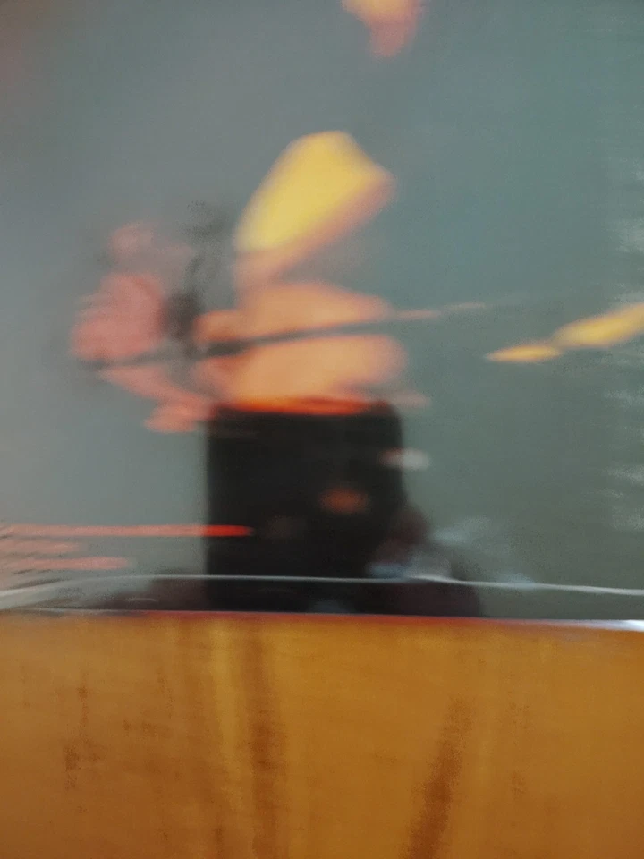 Warren Zevon Stand in the Fire Asylum Records 1980 Запечатано... Без Резерва  - Изображение 3 из 4