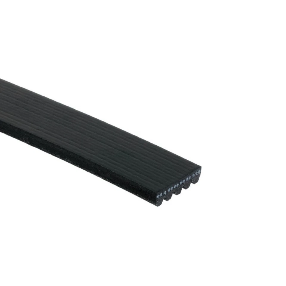 Genuine ACDelco For Mitsubishi Mirage 1995-1997 V-Ribbed Serpentine Belt | Black - Image 2 of 4