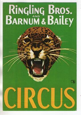 AK  Zirkus  Circus  ,   Ringling Bros and Barnum & Bailey   Tigerkopf