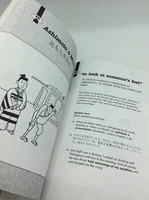 101 JAPANESE IDIOMS by Michael L. Maynard & Senko K. Maynard