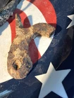 Dug Civil War 💥 🇺🇸 💣 Musket Hammer Gun Part  Possibly Confederate
