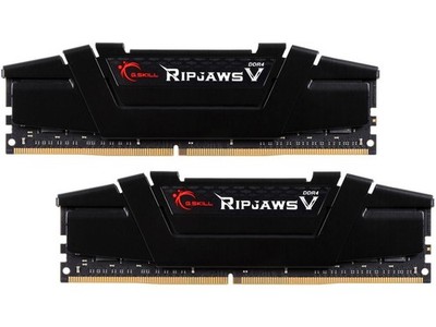 G.SKILL Ripjaws V 32GB DDR4 SDRAM Memory Module (f4-3200c16d-32gvk)