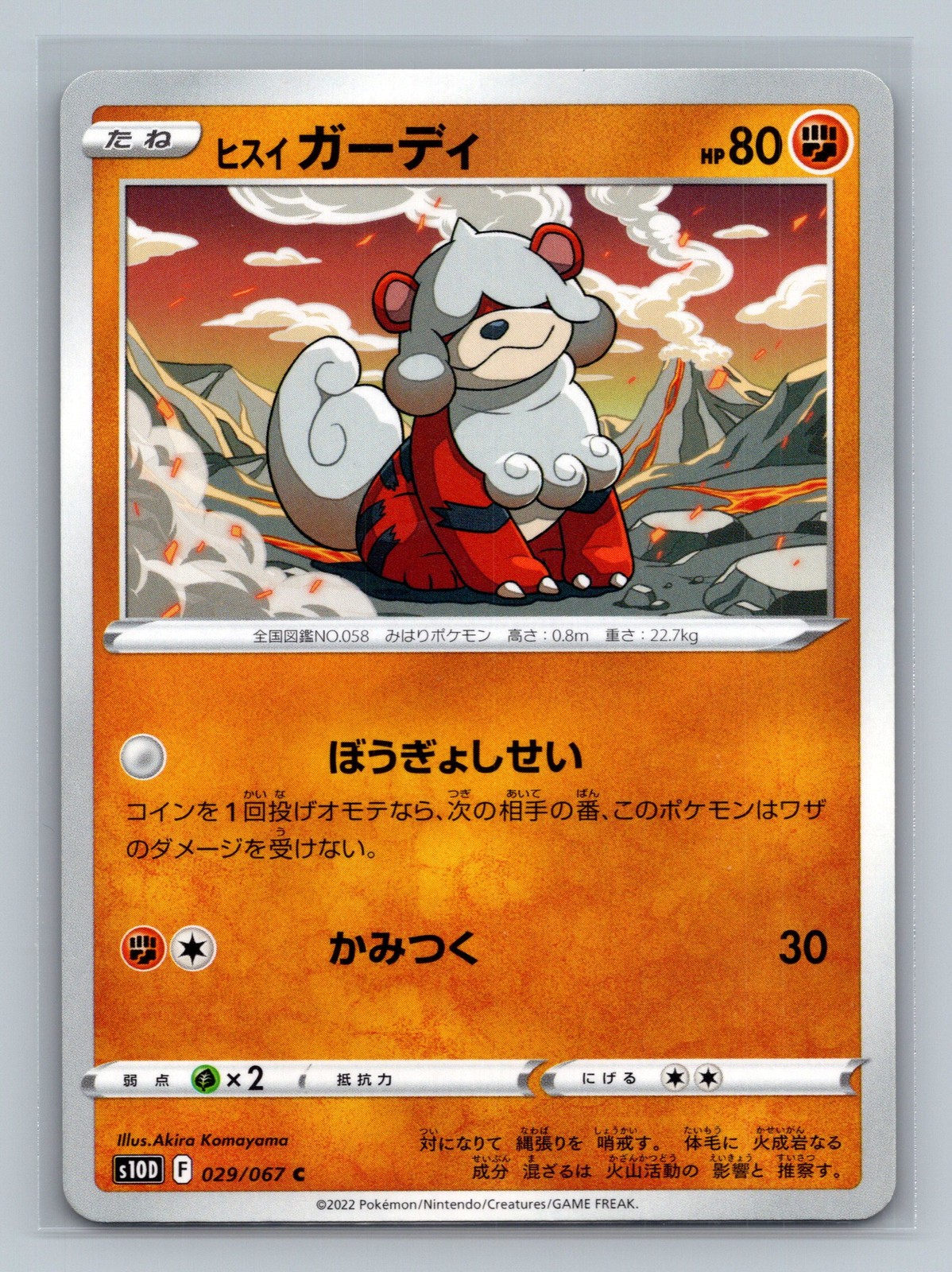 Hisuian Growlithe 029/067 S10D Pokemon Card JP NM Akira Komayama