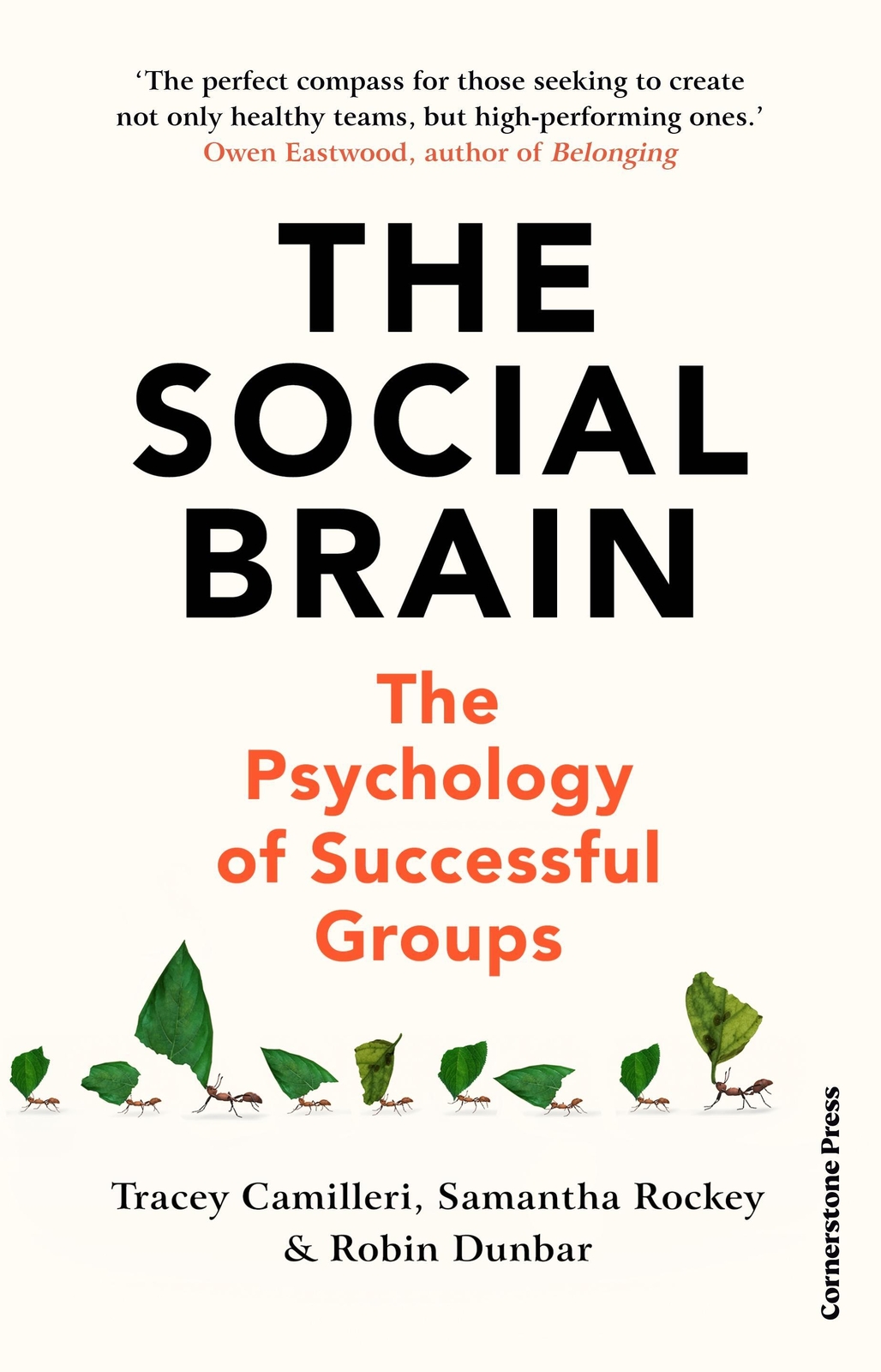 Thumbnail - The Social Brain | The Psychology Of Successful Groups | Camilleri (u.