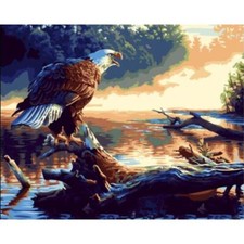 Paint By Numbers Adults kids Eagle Animals DIY Painting Kit 40x50CM Canvas