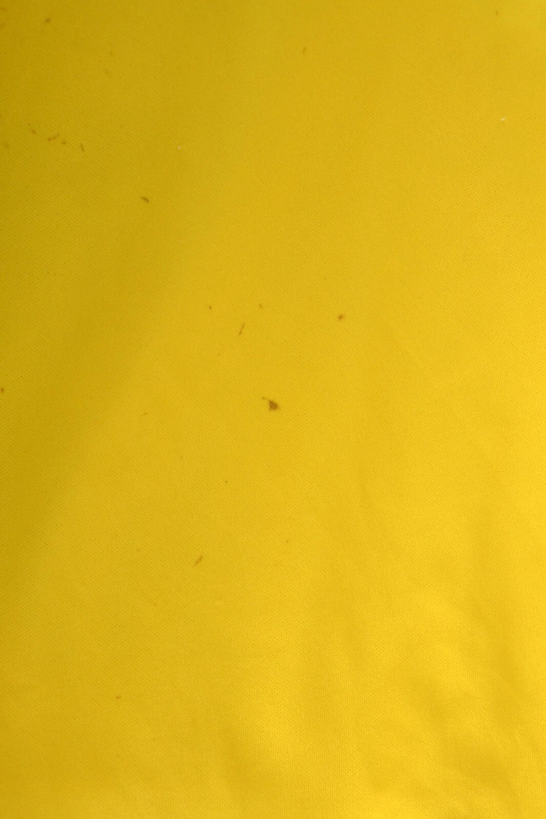 Picture 7 of 12