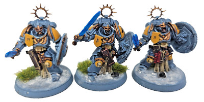 Warhammer 40k Space Marine Bladeguard Space Wolves bemalt Games Workshop 40k