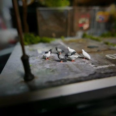 Diorama 1/64 Painted Figure Animal Pigeon Sparrow Model Car Street Garage Props
