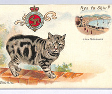 ISLE OF MAN GB Early Postcard MANX CAT *Kys ta Shiu?* IOM Loch Promenade WY268