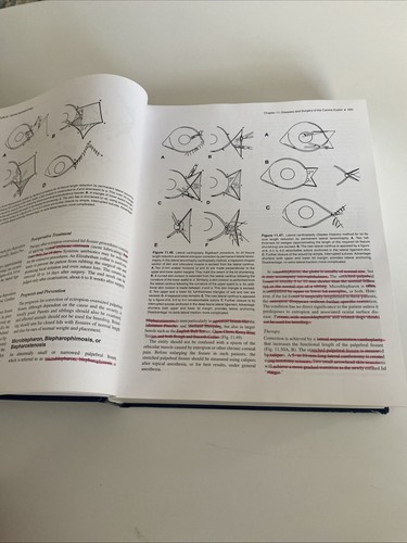 Veterinary Ophthalmology Vierte Ausgabe Herausgegeben von Kirk N Gelatt. Band 2 - Bild 10 von 18