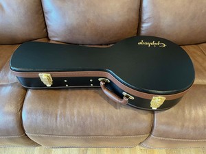epiphone mandolin case