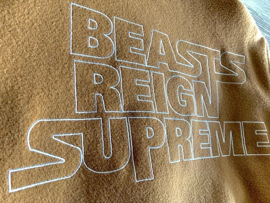 A Bathing Ape Bape 2012 Beasts Reign Supreme Varsity STAdium 