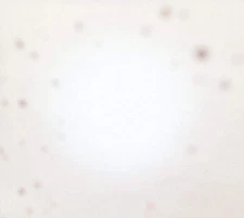 Yo La Tengo - There's A Riot Going On (Orange Vinyl) [LP record]