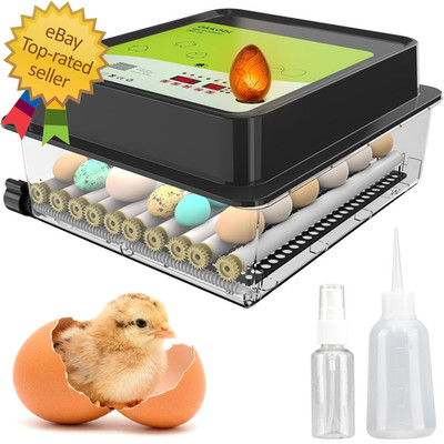 OBI-36 Egg Incubator for Hatching - 36 Eggs - Stable Temperature & Humidity Cont