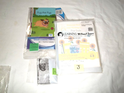 J- Learning Without Tears 1st grade journal Building Writes 8 Decodable Phonics