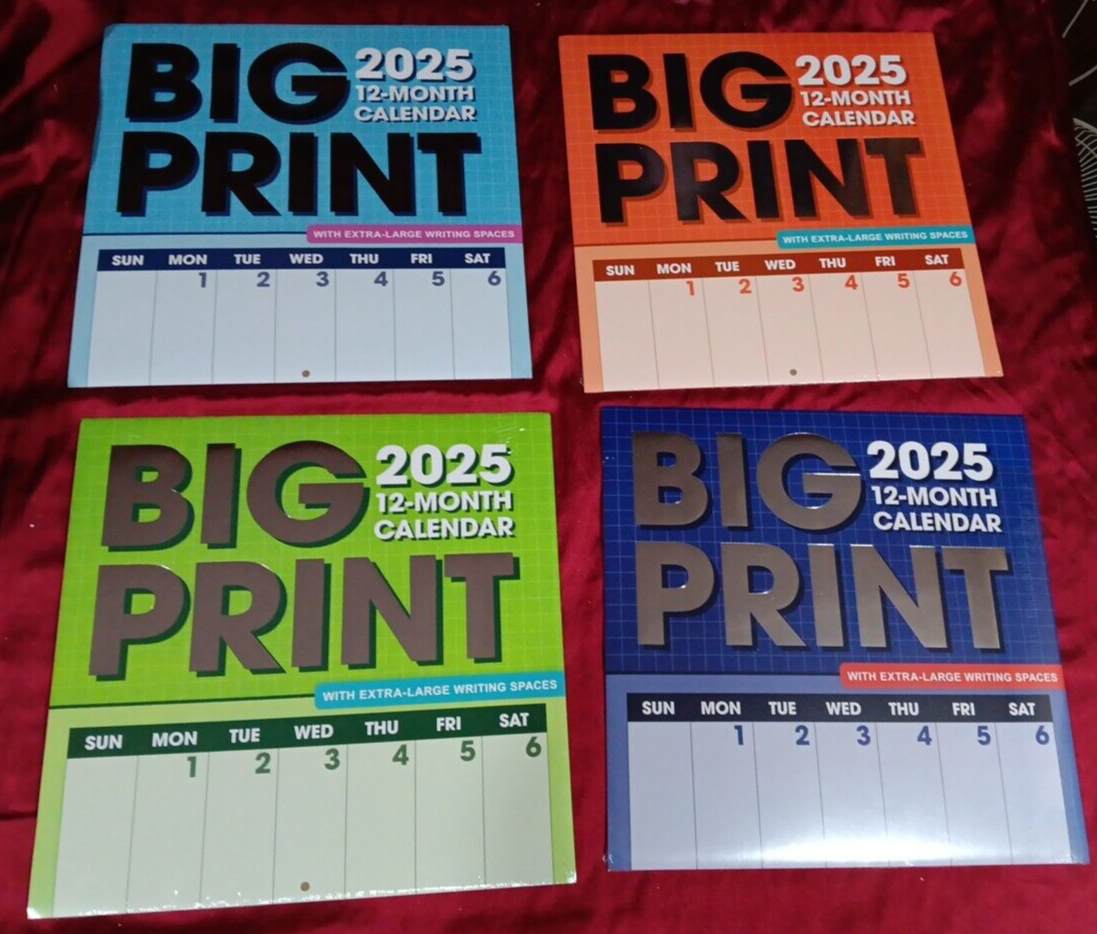 BIG PRINT 2025 Wall Calendar 12 big-print-2025-wall-calendar-12-x-24-open-fast-delivery-ebay